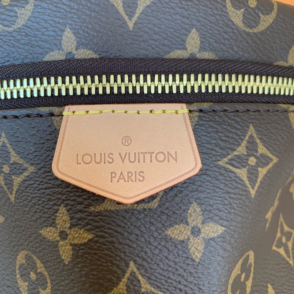 Louis Vuitton BumBag - Picture 5 of 8